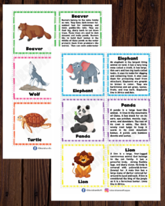 Read more about the article Animal Flashcards for Kids