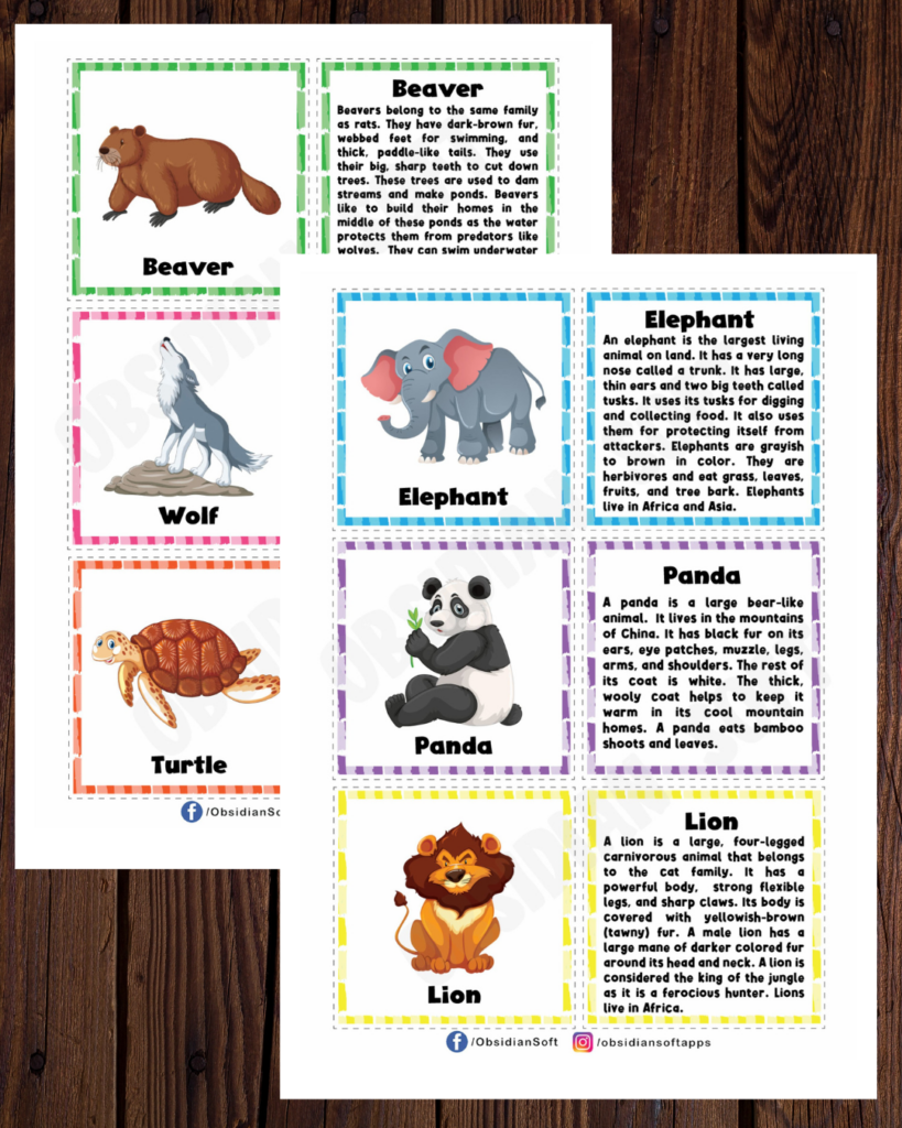 Animal Flashcards for kids