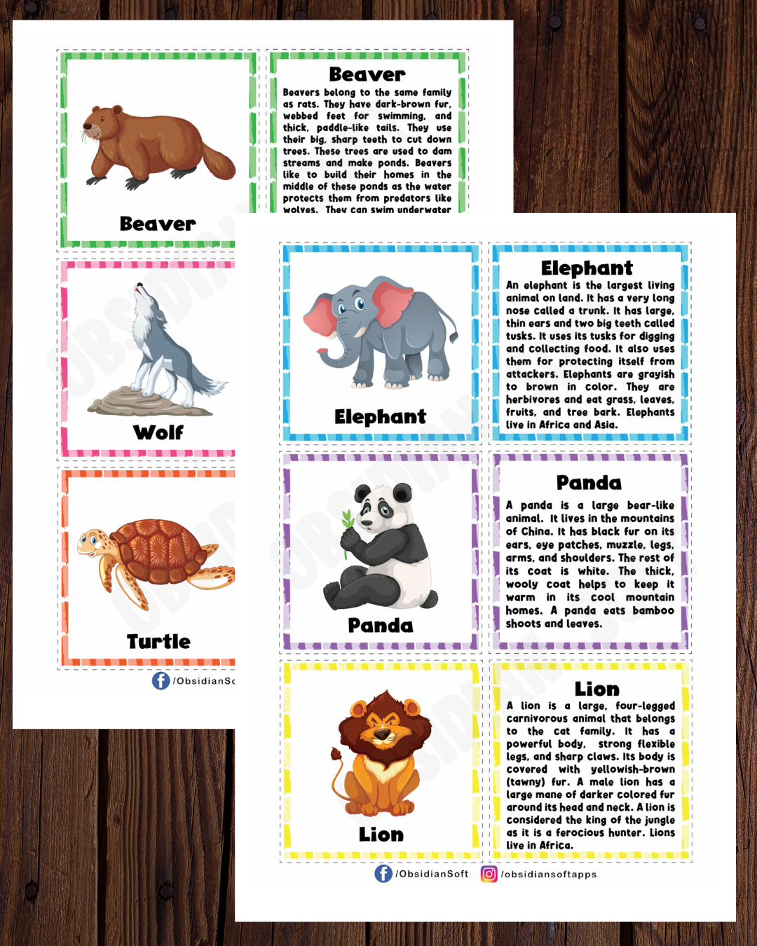 Read more about the article Animal Flashcards for Kids